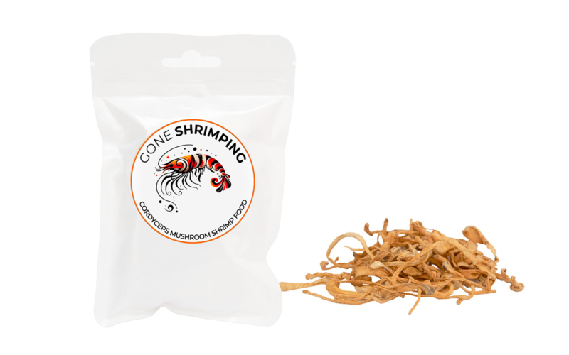 Cordyceps Mushrooms Shrimp Food 2 Gone Shrimping