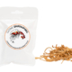Cordyceps Mushrooms Shrimp Food 2 Gone Shrimping