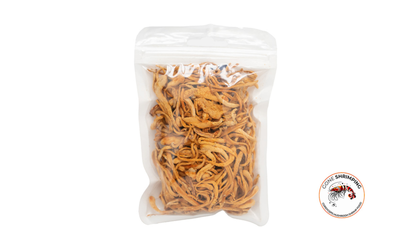 Cordyceps Mushrooms Shrimp Food 3 Gone Shrimping